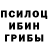Галлюциногенные грибы Psilocybine cubensis Ashon Shakya