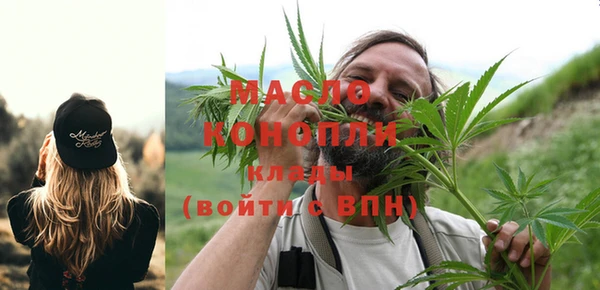амф Каменногорск