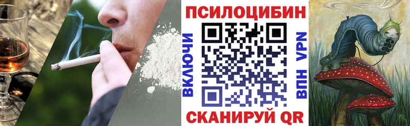 Галлюциногенные грибы GOLDEN TEACHER Короча
